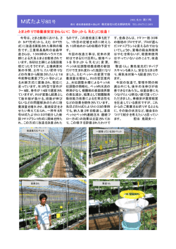 2002年8月 - 株式会社M式水耕研究所