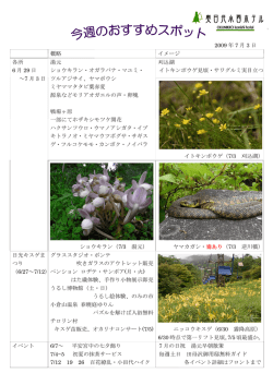 2009 年 7 月 3 日 概略 イメージ 各所 6 月 29 日 ～7 月 3 日 湯元 ショウ