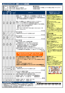 JAL ホノルルマラソンツアー 最終セール 6・7 日間日程表 2011JAL