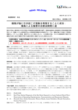 爆風が脳に引き起こす現象を再現することに成功： 爆風による傷害の治療