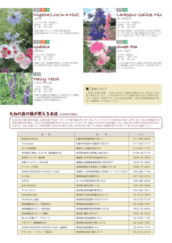 Sweet Pea Larkspur Galilee Mix Nigella(Love-in-a-Mist) Hairy