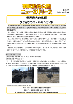 世界最大の鳥類 ダチョウのウェルカムガイド