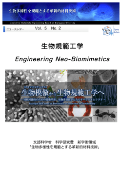 Full Download（17.6MB 圧縮しています）