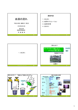 血液の流れ - 東北大学 流体科学研究所