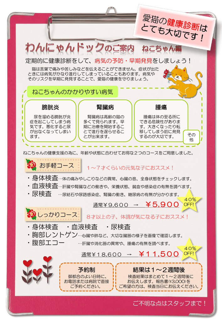 ねこちゃんの健康診断について