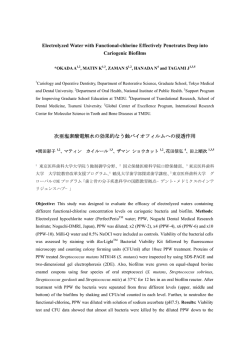 研究論文全文ダウンロード（PDF