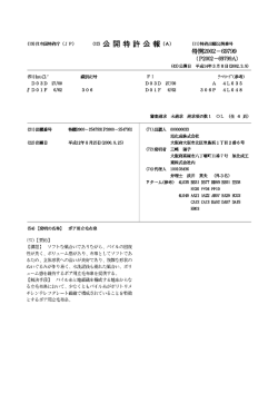 Page 1 Page 2 【特許請求の範囲】 【請求項1】 パイル糸と地組織を構成