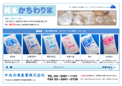 純氷かちわり氷 - 中央冷凍産業
