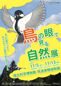 PDFファイル サイズ：2.1MB 更新日時：2016/10/25