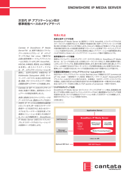 SnowShore IP Media Server