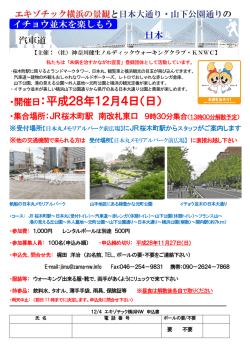 ・開催日：平成28年12月4日（日）