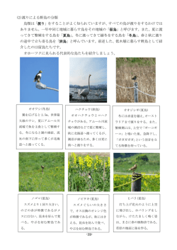 (2)渡りによる野鳥の分類 鳥類は「渡り」をすることがよく知られていますが