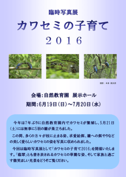 臨時写真展 - 自然教育園