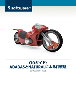 CIOガイド: ADABASとNATURALによるIT戦略