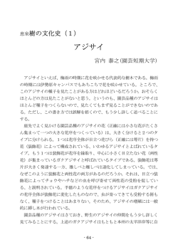 アジサイ - 恵泉女学園大学