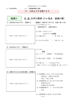 A2水の汚れの浄化機能
