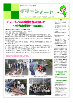 チューリップの球根を植えました ～住吉小学校～（活動報告）