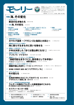特集海、その変化