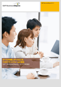 SAP BusinessObjects XI