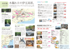 木漏れ日の伊豆高原。