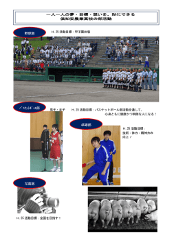 野球部 ﾊﾞｽｹｯﾄﾎﾞｰﾙ部 卓球部 写真部