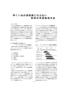 松く い虫の感染源にならない 松林の伐採処理方法