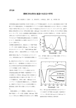 1P128 置換 DNA/RNA 塩基の光反応の研究