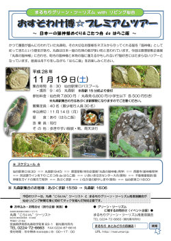 11 月 19 日(土)