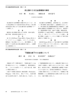 前立腺の  次元血管構築の解析 下腹壁白線下の小血管について