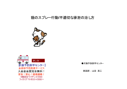 猫のスプレー行動/不適切な排泄の治し方