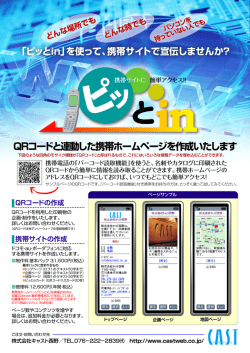携帯サイト「ピッとin」（カタログ PDF・2.2MB）