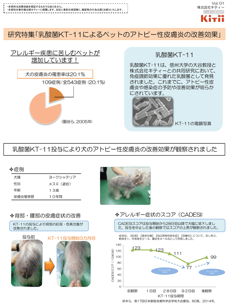 スライド 1 Kitii 株式会社キティー