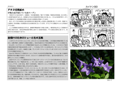 PKO任務拡大 金儲けのためのショーと化す五輪