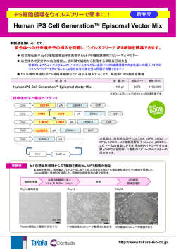 Human iPS Cell Generation Episomal Vector Mix