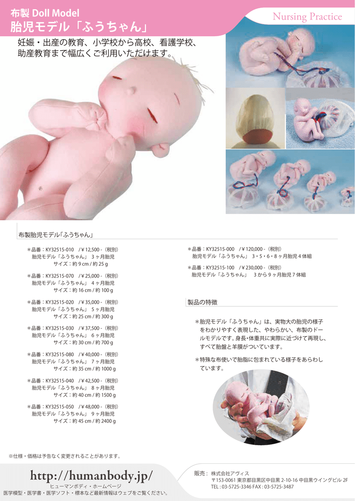 胎児モデル ふうちゃん Ky