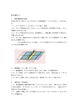 タスポニーの詳しいルール