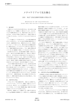 日本語での解説文 PDF - 物質創成科学研究科