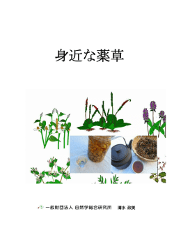 Page 1 Page 2 &iuml;&eth; 身近な薬草 その10 (アマドコロ) 山野に普通に見
