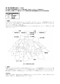 肝（肝内胆管を含む） (C22)