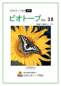 38号全編（PDFファイル