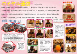 春満開！桜満開！とひと時の桜の季節も名残惜しく、美しい花びらが