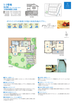 1-1号地