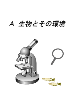 A 生物とその環境