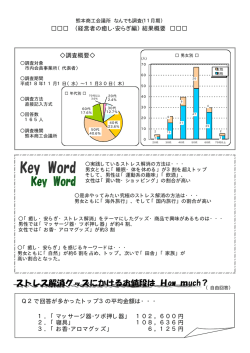（経営者の癒し・安らぎ編）結果概要 調査概要   1．「マッサージ器・ツ