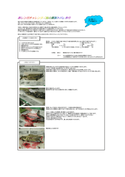 鮭の薫製トバ作り