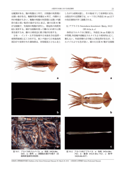 1633KB - 鳥取県情報センター
