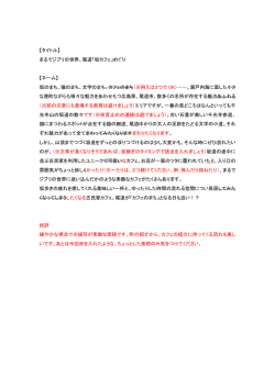 【タイトル】 まるでジブリの世界、尾道「坂カフェ」めぐり 【ネーム】 坂のまち