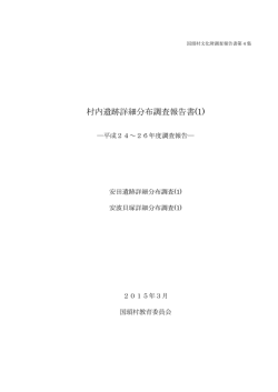 村内遺跡詳細分布調査報告書(1)