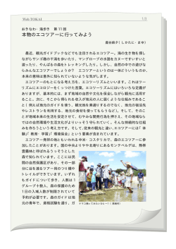 本物のエコツアーに行ってみよう
