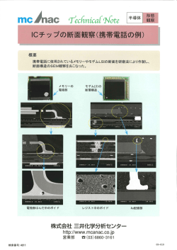 携帯電話に使用されているメモリ一やモデムLSーの断面を研磨法により